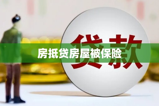 东营房抵贷房屋被保险
